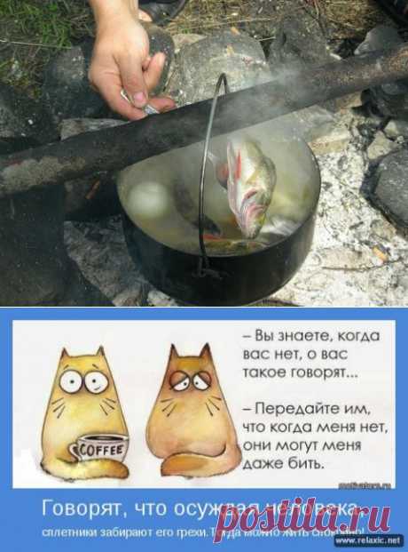 Женщину, которая не по зубам, едят глазами и сплетнями! | МАЛЕНЬКАЯ СТРАНА МС