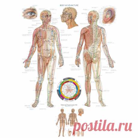 Гипертоническая болезнь. Точечный массаж Гипертоническая болезнь — наиболее распространенная форма артериальной гипертонии, при которой повышение артериального давления является основным проявлением болезненного процесса. Повышение артериального давления может наблюдаться как один из симптомов при различных заболеваниях, в том числе почек, эндокринных и других органов. Гипертония при указанных патологических состояниях обозначается как симптоматическая или вторичная; она, ...