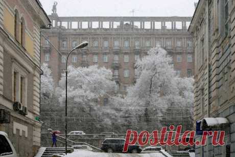 Александр Борисенко
серая лошадь - зима 2010 — in Vladivostok.