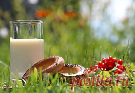 Как приготовить топленое молоко в домашних условиях? | Еда и кулинария