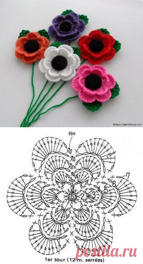 (3) Pinterest