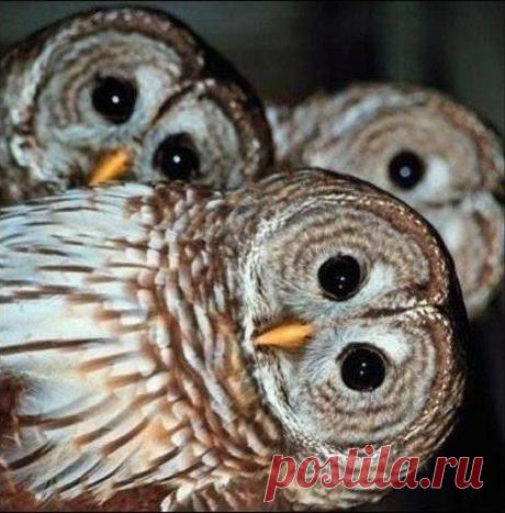 Вид с кабины машиниста метро, подъезжающего к станции...