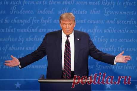 Трамп предложит создать футуристические «города свободы». Экс-президент США Дональд Трамп в ходе предвыборной кампании предложит создать до десяти футуристических «городов свободы» в Соединенных Штатах и откроет конкурс на их проектирование. Бывший американский лидер имеет крупные планы по благоустройству на благо будущего Америки и преследует целью скачок в уровне жизни.