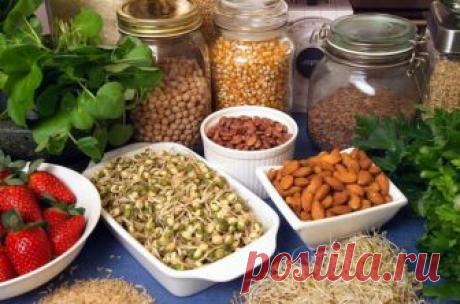 Реальные риски избыточного потребления белка! | Диеты со всего света