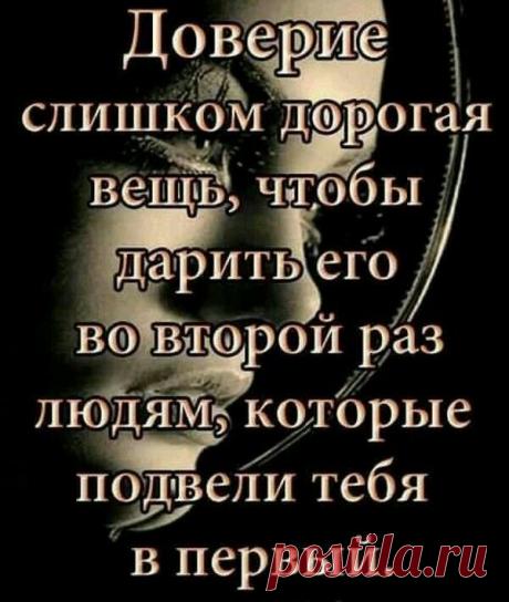 Поговорки, афоризмы и шутки - все любим, все читаем!