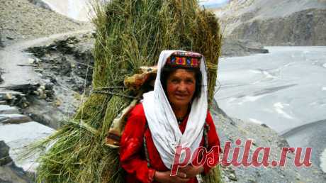 Хунза: народ, который никогда не болеет, не знает о раке, и живет около 120 лет | Экватор | Яндекс Дзен