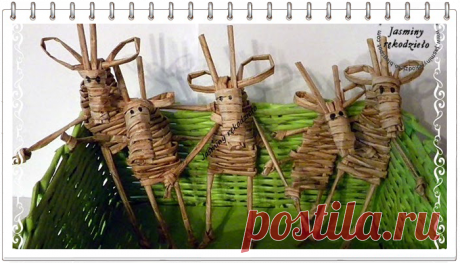 Простой способ сплести овечку, козу из газетных трубочек. Мастер класс | oblacco Протестировала животное на муже, сказал что это или козочка, или олень, или овечка. В общем - рогатый скот, крупный и мелкий, но очень даже симпатичный! У автора это все-таки олени. Но здесь главное - принцип плетения, а он невероятно прост. Ушки, рожки подкорректировать труда не составит. Я уже очень много фигурок пересмотрела, плетеных из газетных трубочек, это самый простой способ. Автор да...