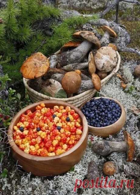 Лето - щедрая пора!