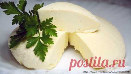 Сыр за 10 минут из молока + время на стекание сыворотки (никаких яиц и без специальных ферментов)