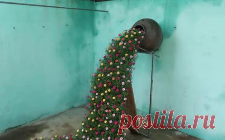 Радующий глаз цветочный водопад в вашем саду из простых пластиковых бутылок