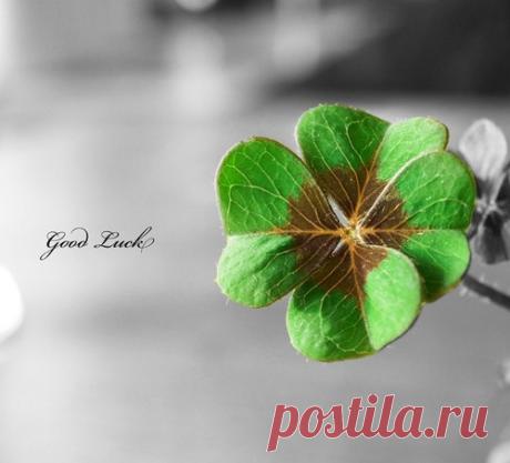 Как сделать так, чтобы всегда везло?