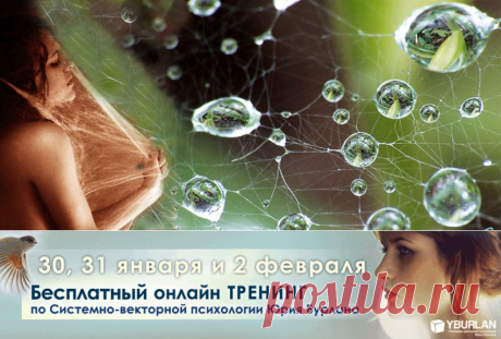 Луиза Древсхольт. Системный психоанализ. Унесенная бессознательным... - Два полюса одной любви