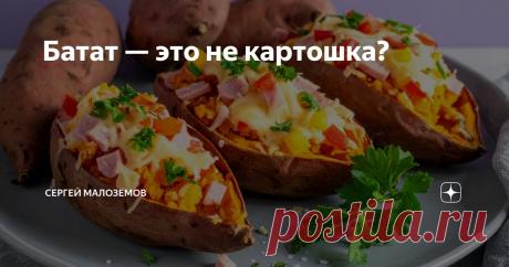 Батат — это не картошка? Статья автора «Сергей Малозёмов» в Дзене ✍: До сих пор слышу: «Сергей, это же просто сладкая картошка!