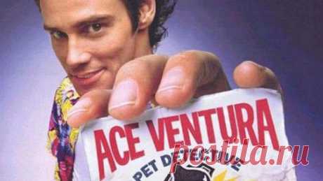 Эйс Вентура все части бесплатно - Городской портал Караганды - www.krglive.com