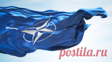 Эксперт Пачини: в НАТО растут разногласия из-за отношения к Украине. Разногласия растут среди государств — членов Североатлантического альянса из-за отношения к Украине. Об этом сообщила итальянский эксперт по международным отношениям Лоренцо Мария Пачини. Читать далее