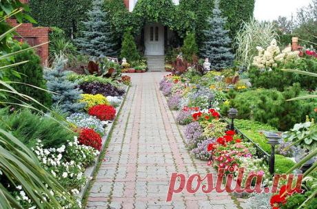 Советы опытных садоводов