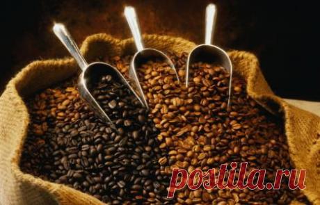 Кулинарные статьи » Кулинарная книга рецептов с фотографиями