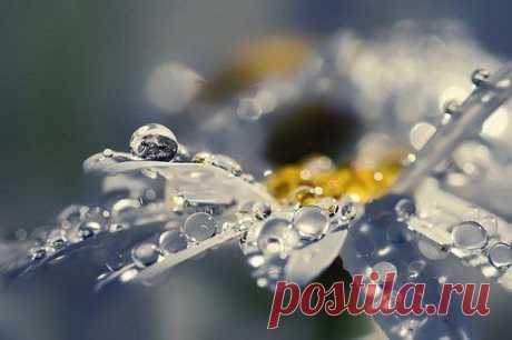 Если вы достаточно безумны, чтобы заниматься делом, которое любите — вы обречены прожить жизнь, полную смысла.
Герберт Келлехер