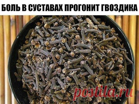 БОЛЬ В СУСТАВАХ ПРОГОНИТ ГВОЗДИКА
Боль в спине, в локтях и коленках, при артрозах, ревматизме, радикулите, миазите, невралгии прекрасно снимает настоянная на одеколоне пряность гвоздика.
Возьмите пять пакетиков (по 20г) ароматных бутончиков и залейте двумя флаконами тройного одеколона. Закрытую стеклянную банку держите в темном месте ( не в холодильнике) неделю, постоянно встряхивая.
Готовая целебная растирка должна иметь насыщенный коричневый цвет. Натерев ею больны...