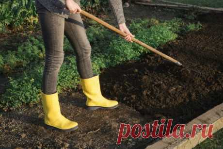 Возвращаем почве плодородие, или Как подготовить огород к весне — Ботаничка