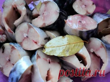 Как засолить скумбрию так, чтобы все были в восторге | О Фазенде. Загородная жизнь | Яндекс Дзен