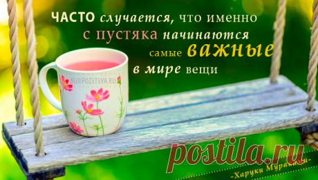 Мудрые, позитивные и короткие высказывания о жизни великих людей