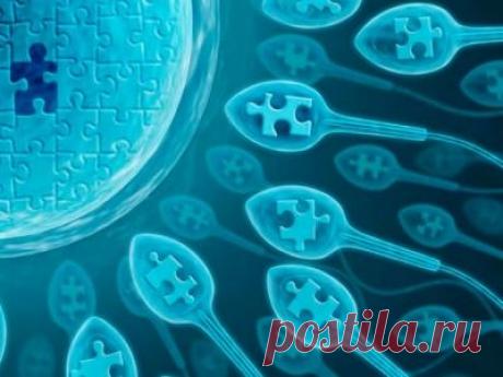 Первый половой акт или закон Рита