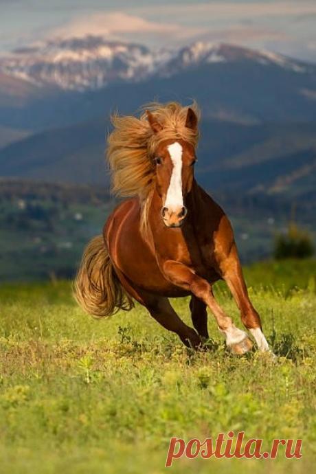 Интересные новости