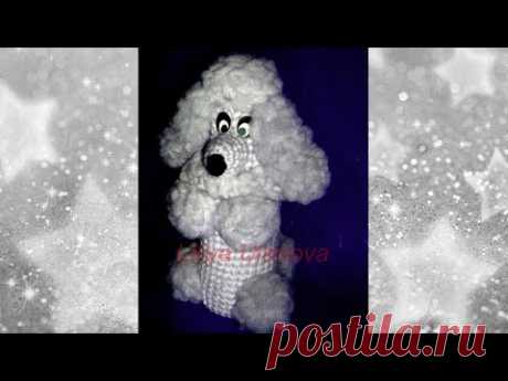 1 Собака На Бутылку Пряжа Материалы