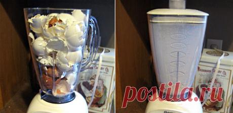 Когда вы узнаете, зачем она измельчила яичную скорлупу в блендере, то обязательно сделаете так же!