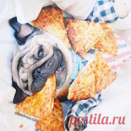 Выражаем восхищение! ✌ / Изучение немецкого языка