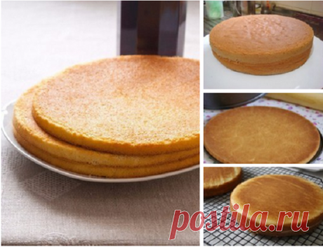 Топ–4 рецепта коржей на все случаи жизни | hdok.ru - развивай своё хобби с нами.