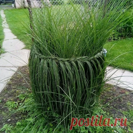 способы заплетания, даже обычной травки: