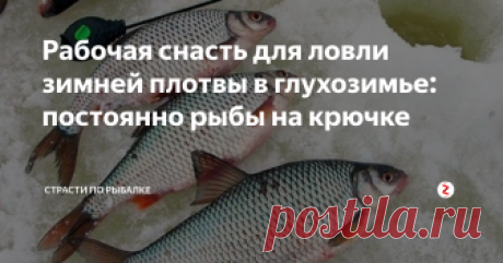 Рабочая снасть для ловли зимней плотвы в глухозимье: постоянно рыбы на крючке Эта отличная оснастка прекрасно зарекомендовала себя при ловле зимней плотвы в гухозимье. Показывает просто отличный результат!
Советую в этом сезоне воспользоваться и попробовать порыбачить на неё плотву!
Суть и принцип заключается на медленно тонущей наживке.
Сделать её самому в домашних условиях не составит большого труда и не займёт много времени. Чтобы руки на вымораживать на морозе лучше так