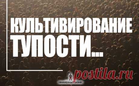 Культивирование тупости
Все россияне помнят времена, когда они смеялись над шутками Михаила Задорнова про тупых американцев. Зрители наполнялись национальной гордостью из-за кажущегося интеллектуального превосходства над невежественной и деградирующей нацией, смотрящих реслинг и поедающих биг-маки. И вот, с нами случилось то, что мы презирали – эпидемия тупости пришла в Россию.
Показать полностью…