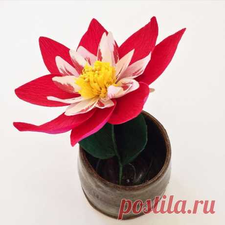 Have a lovely start to the week! Flowers and God's word always brightens my day! Psalm 116:2b I will call on the Lord for as long as I live ❤️ #crepepaper #dahlia #flowerstagram #flowersofinstagram #dscolor #dsfloral #nothingisordinary #dahlias #sweetpaulfall #christianlife #rainbow_wall #shepaintstruth #gritandvirtue #melbourneflowers #weddingflowers #etsygifts #christmasgift #christmasdecorations #christmastime #wemakecollective #poppytalkfallcolours #spc_creative