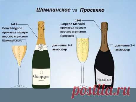 чем просекко отличается от шампанского: 4 тыс изображений найдено в Яндекс.Картинках