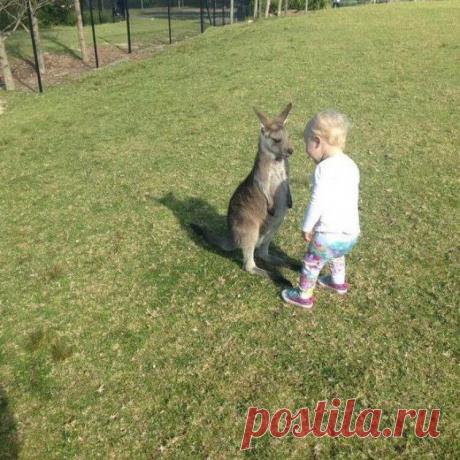 18 фотографий детей, которые развлекают родителей по высшему разряду — Калейдоскоп чудес