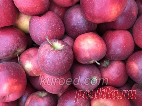 Варенье из яблок, пошаговый рецепт с фото на Kuroed.com