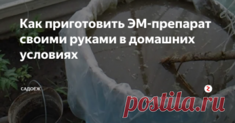 Как приготовить ЭМ-препарат своими руками в домашних условиях Быстро, просто, дешево и доступно