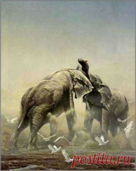 Роберт Бейтман - Спарринг слонов: ИСКУССТВО