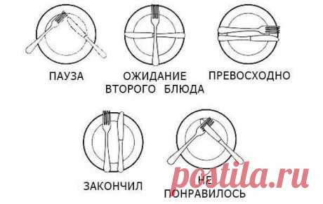 20 золотых правил этикета за столом