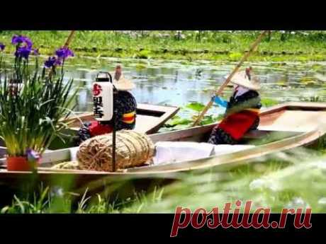 Водяной сад ирисов. Япония - YouTube
Необычная достопримечательность есть в маленьком японском городке Савара. Здесь располагается уникальный Водный сад ирисов, где произрастает около 1,5 миллиона этих замечательных цветов
Водный сад ирисов в Японии (The water garden iris Suigo Sawara) привлекает своёй волшебной красотой. Огромные площади усеяны разноцветными коврами ирисов, любоваться которыми можно из лодок плывущик по водным каналам.
Весь июнь цветущие водные ирисы радуют туристов, а зат