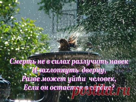(99) Одноклассники