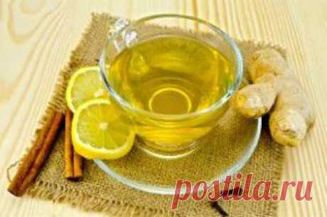 Чем утолить жажду летом. 5 рецептов прохладительных напитков