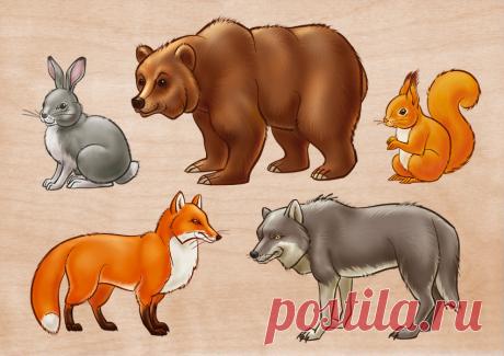 Животные на английском языке с переводом, транскрипцией и русским произношением - слушать