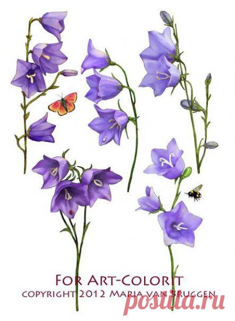 Идеи для творчества и подарков своими руками | ВКонтакте