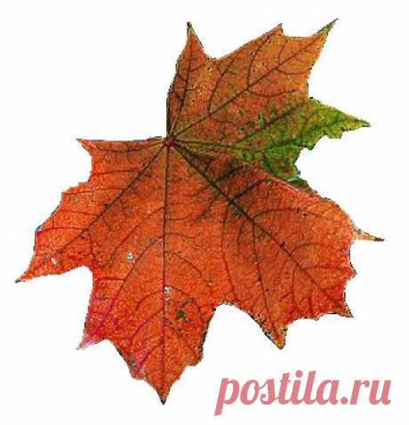 Плейкаст «.♥ЛЕДИ ОСЕНЬ.♥»