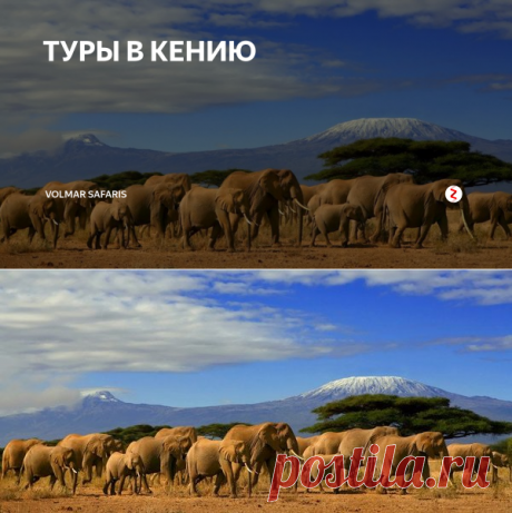 ТУРЫ В КЕНИЮ | Volmar Safaris | Яндекс Дзен