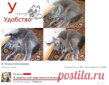 Актуальные комментарии дня / Писец - приколы интернета